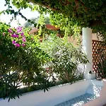 Solandra * ليباري