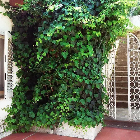 Solandra Prázdninový dům Lipari (Isola Lipari)