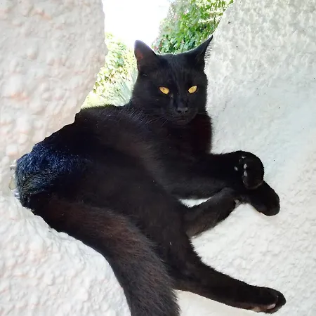 Prázdninový dům Solandra *