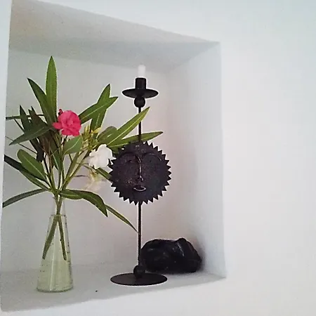 Solandra Nyaraló *
