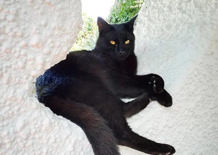 Σπίτι διακοπών Solandra *