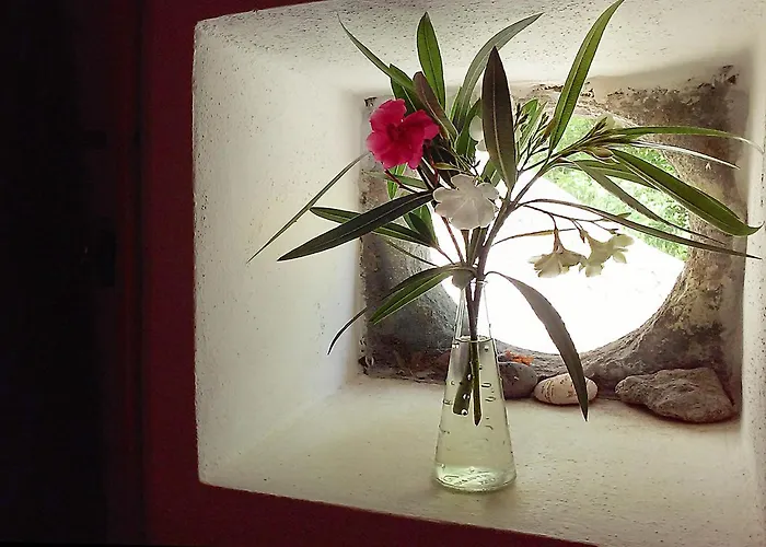 Solandra * Lipari (Isola Lipari)