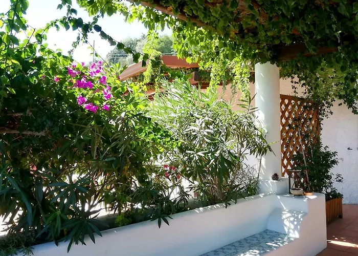 Solandra * Lipari (Isola Lipari)