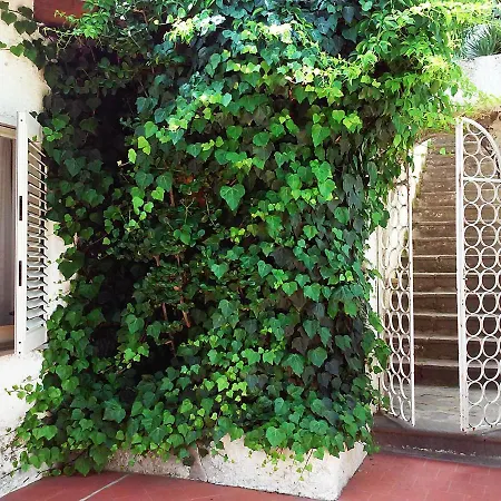 Solandra Holiday home Lipari (Isola Lipari)