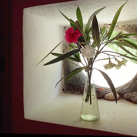 Solandra * Lipari (Isola Lipari)