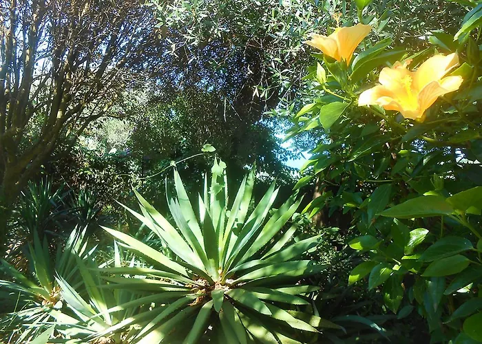 Solandra Holiday home *